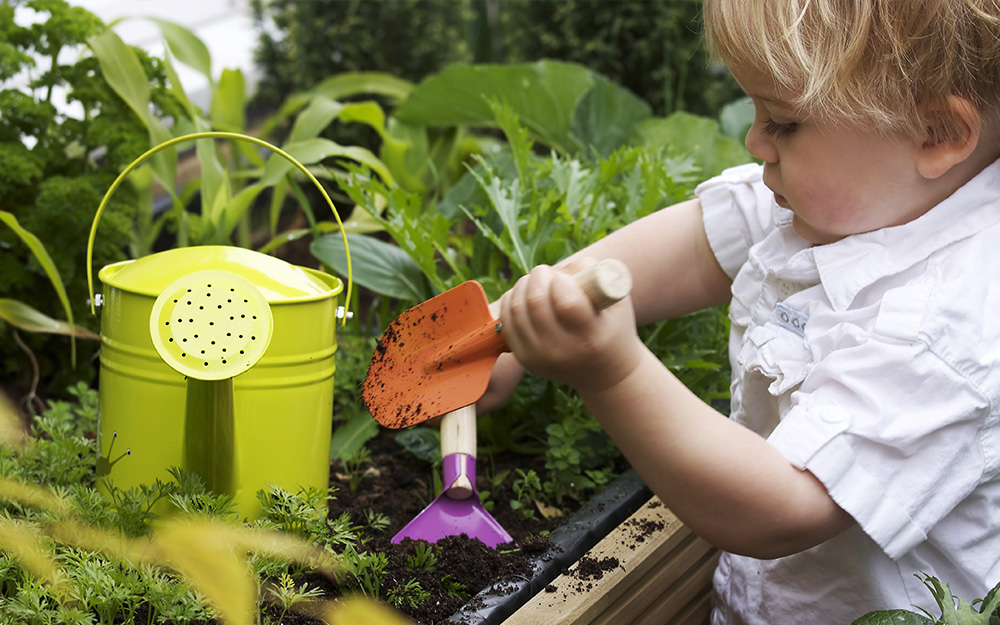 A child digging in a garden with a child-sized trowel and shovel, with a  small watering can nearby