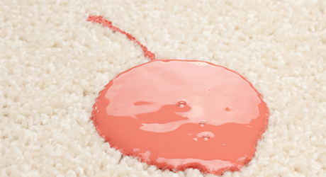 A blotch of pink paint spilled on white carpet.