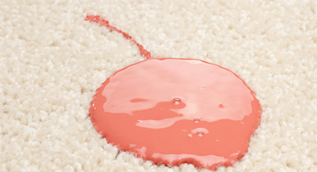 How to Get Paint Out of Carpet — Remove Acrylic, Latex Paint from Carpet