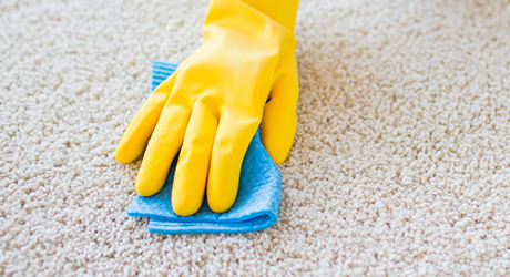A person wearing a yellow rubber glove blots a paint stain on carpet with a blue towel.