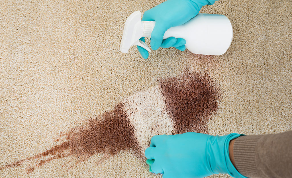 Person using cleaners to remove a stain.