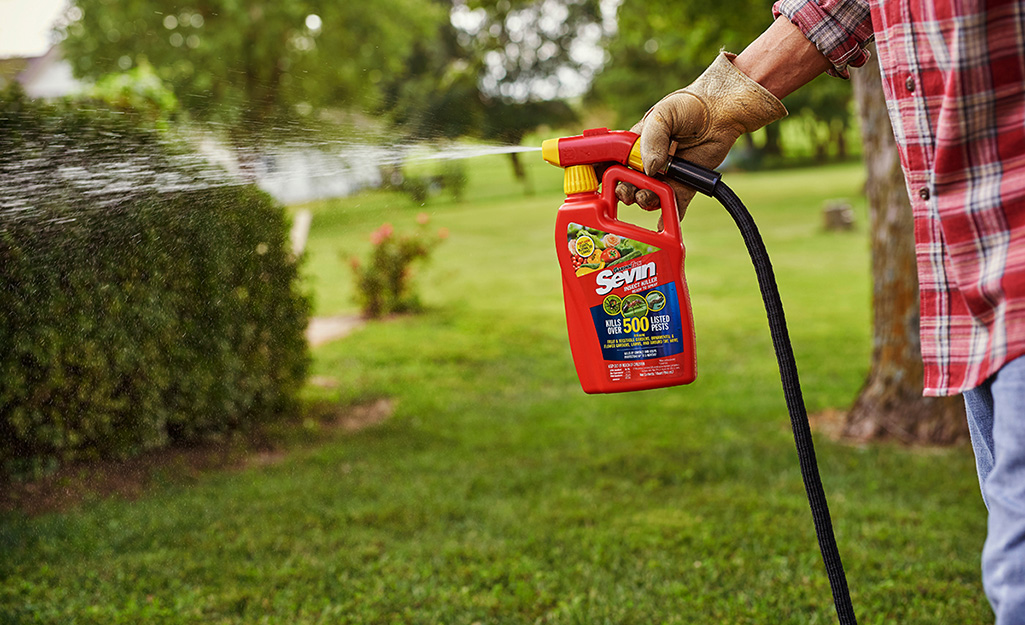 Ant spray being used outside.