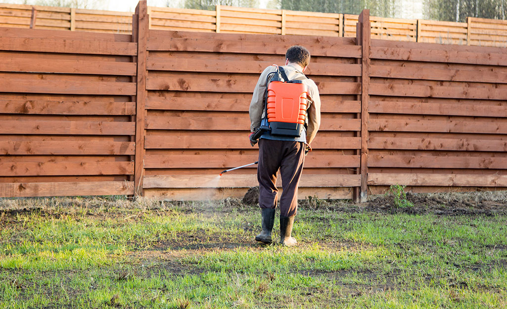 A person applies insecticide to a lawn area.