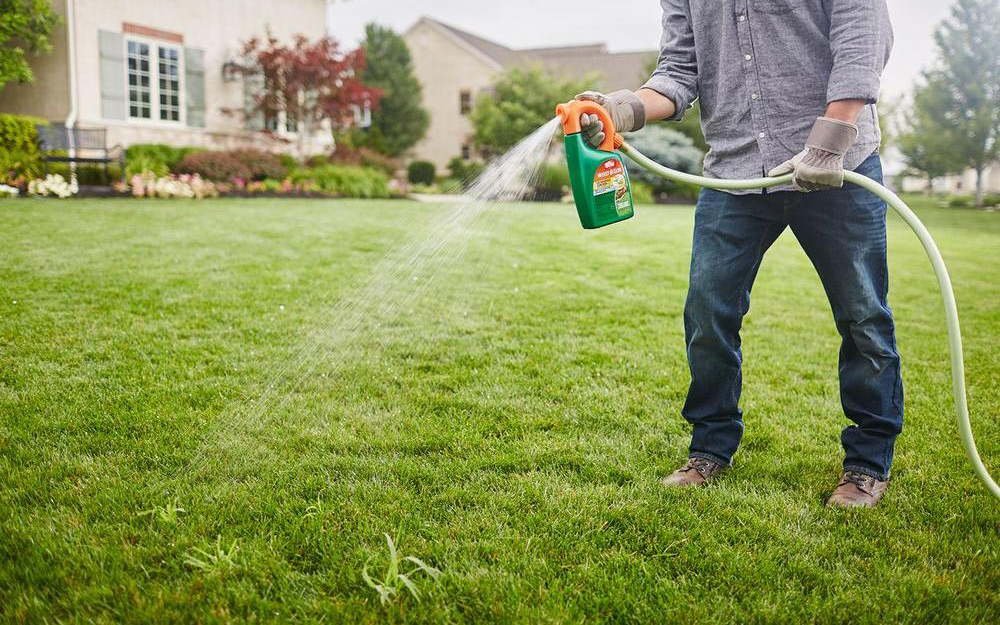 A person spraying his lawn with an herbicide.