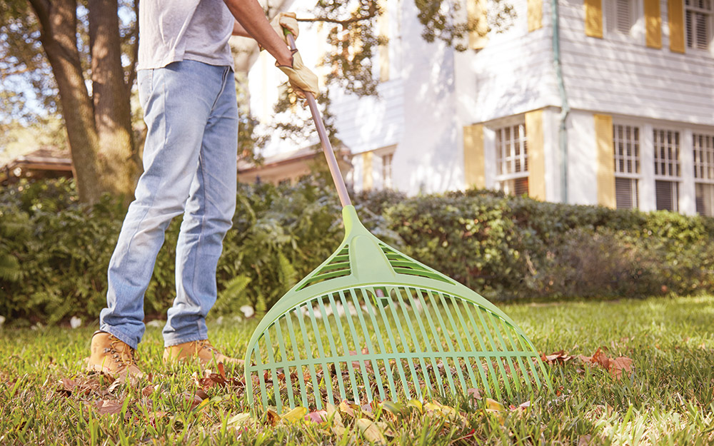 A person raking leaves.