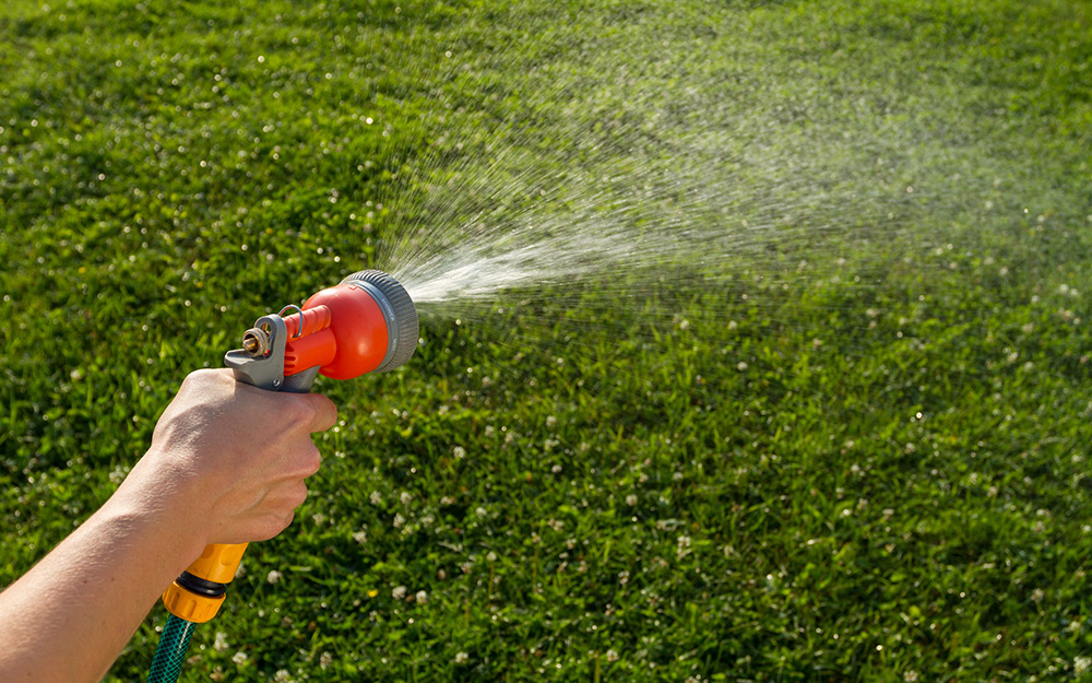 A person watering grass.
