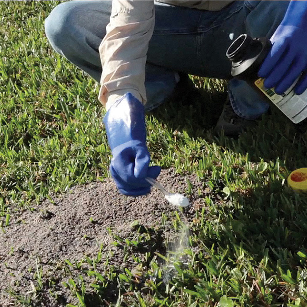 Someone sprinkling fire ant killer on a mound.