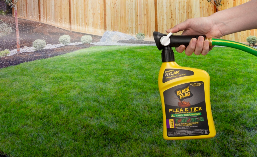 Diy yard 2025 flea treatment