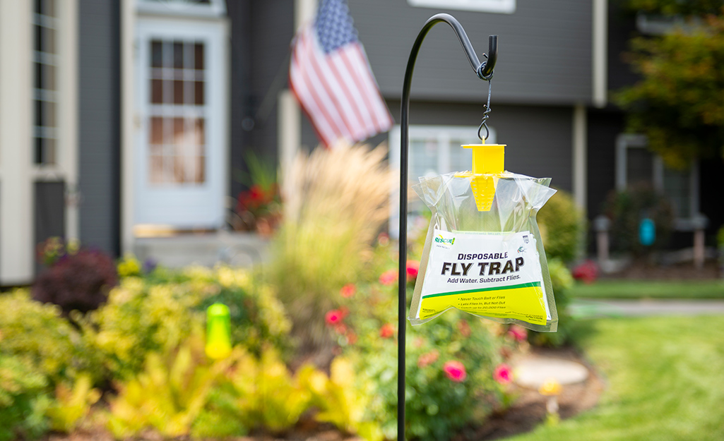 An outdoor fly trap hung in a garden.
