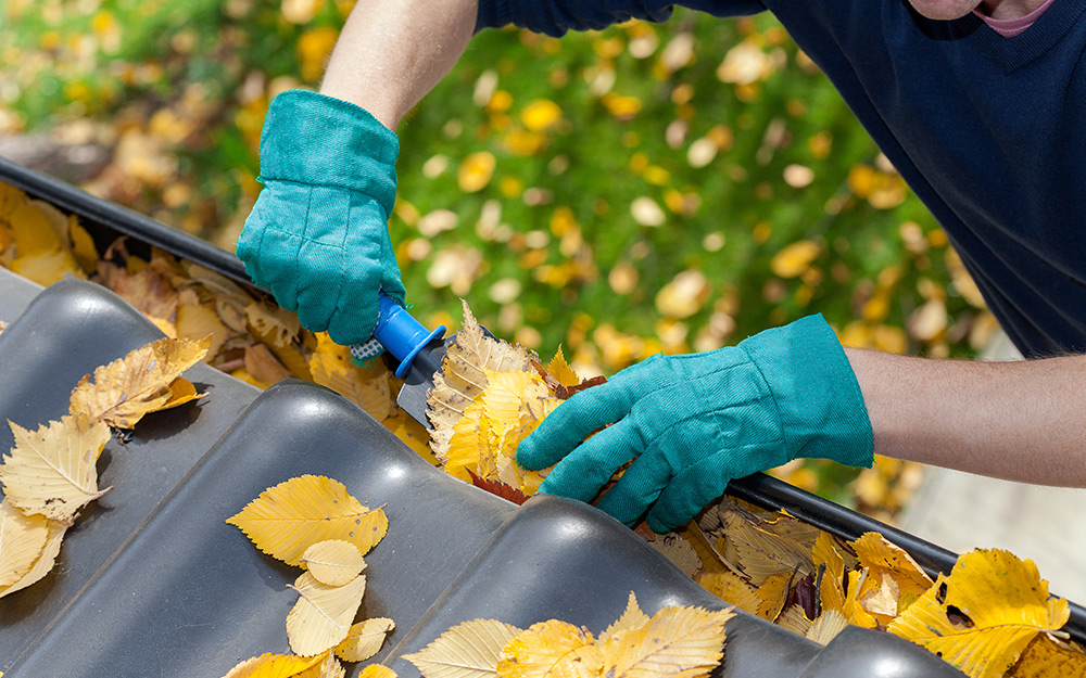 A person cleaning gutters to prevent mold development.