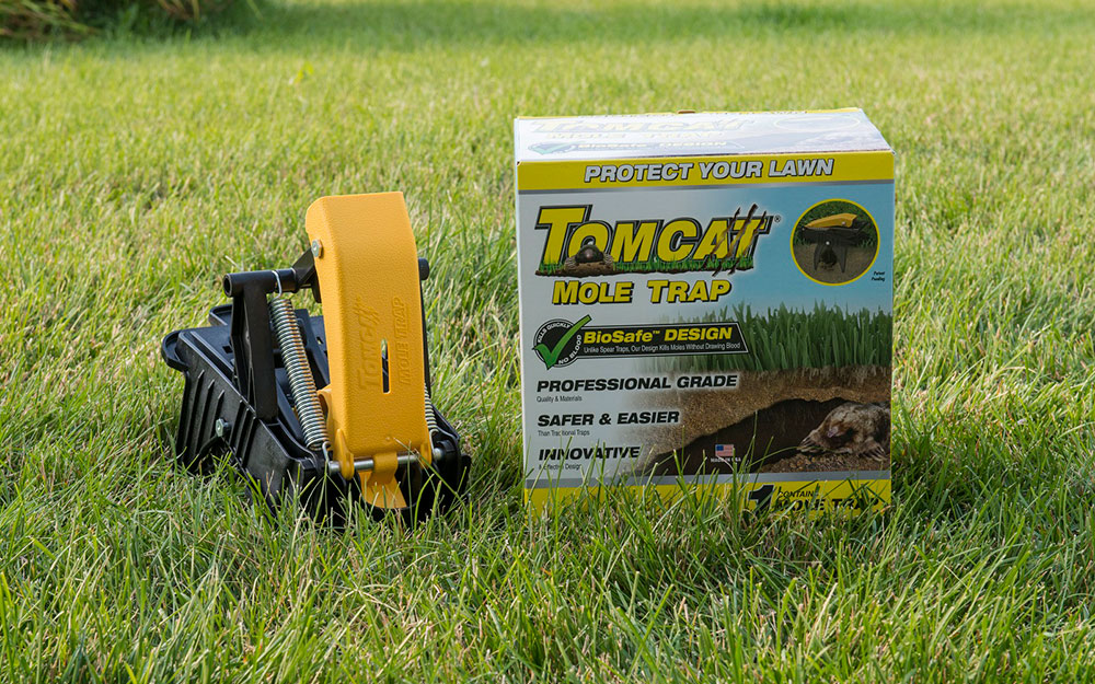 A mole trap and packaging displayed on a lawn.