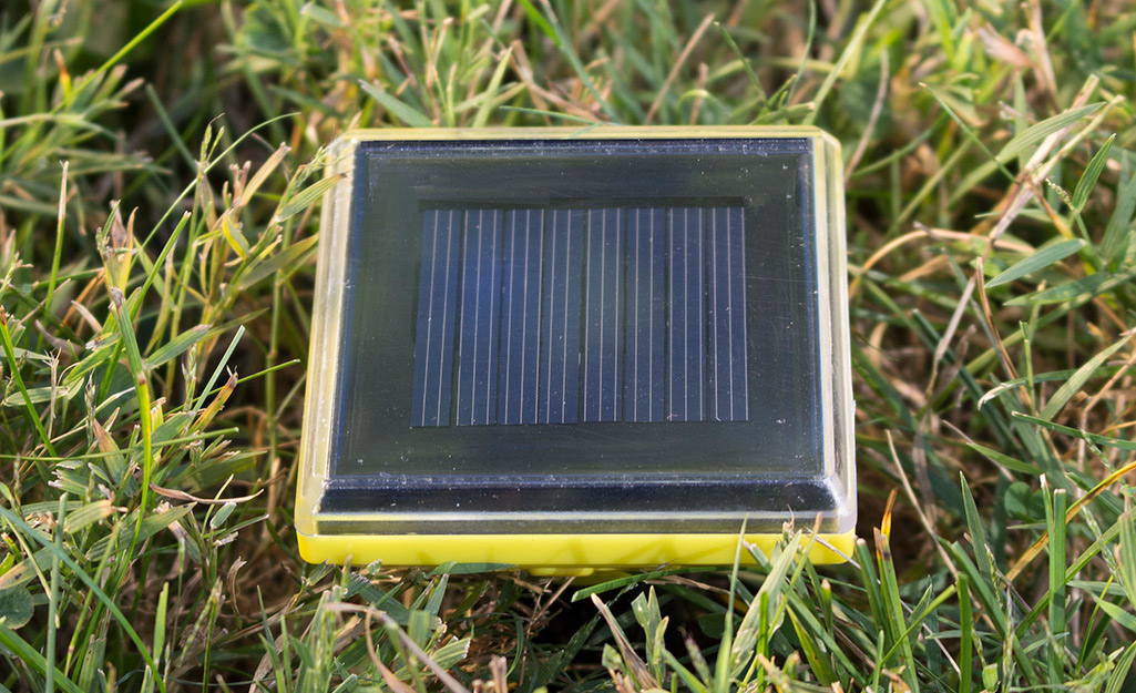 A sonic device on a lawn, being used to scare away moles and gophers.