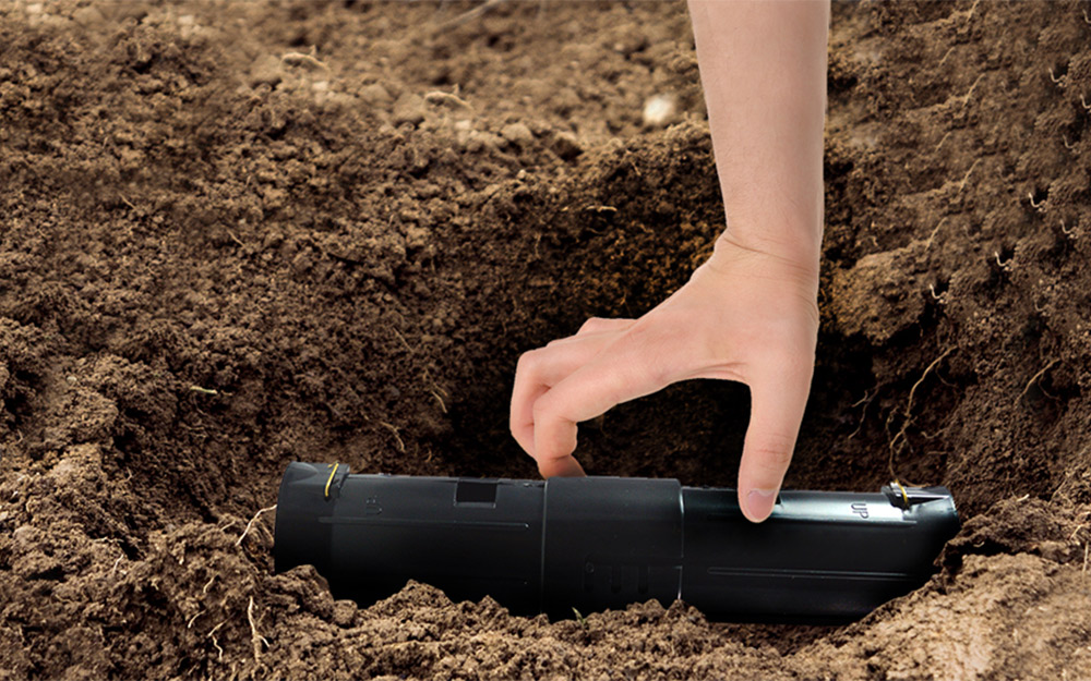 A person putting a mole trap into a hole.