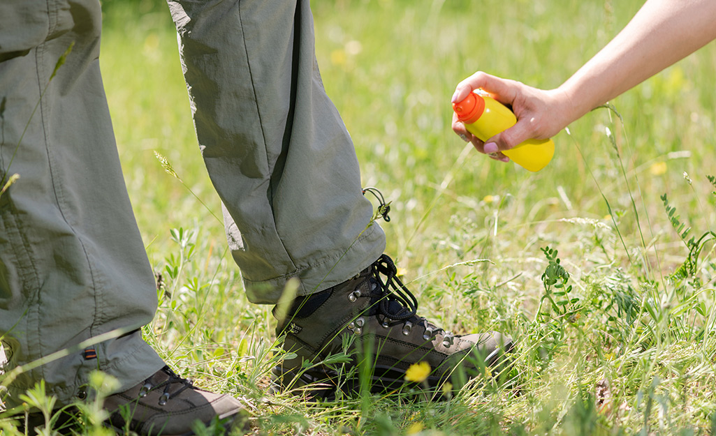 A person sprays mosquito repellent on pant cuffs.