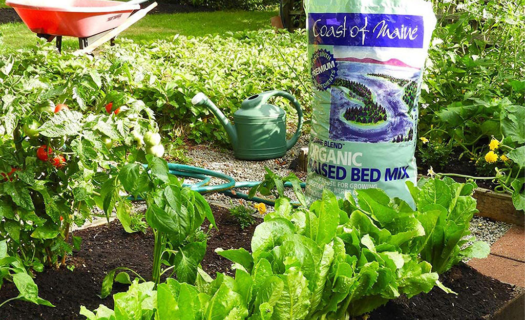 A bag of organic raised bed soil mix next to a garden.