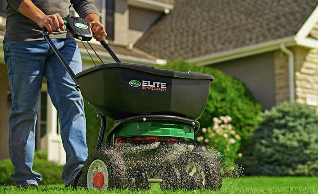 Homeowner using spreader on lawn