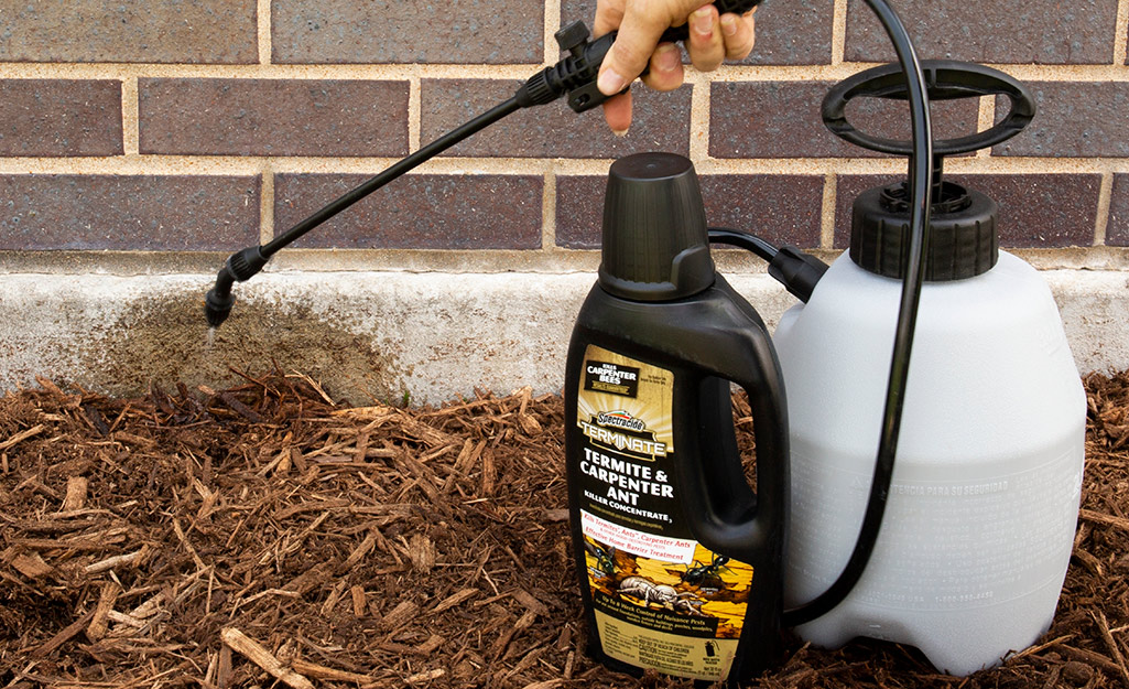 A person using termite spray.