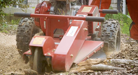 A stump grinder running over tree roots. A stump grinder running over tree roots.