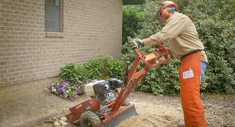 Man pushing down over a tree stump with a stump ginder Man pushing down over a tree stump with a stump ginder