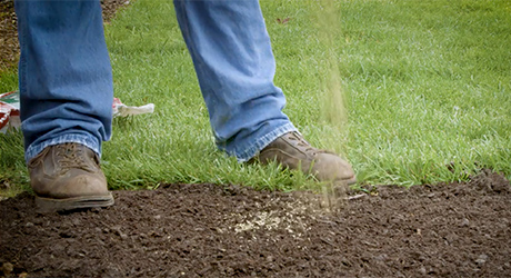 Someone sprinkling grass seeds over a patch of topsoil. Someone sprinkling grass seeds over a patch of topsoil.
