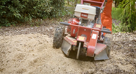 A stump grinder running over tree roots. A stump grinder running over tree roots.