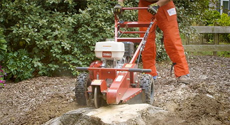 Man using a stump grinder on a large stump Man using a stump grinder on a large stump