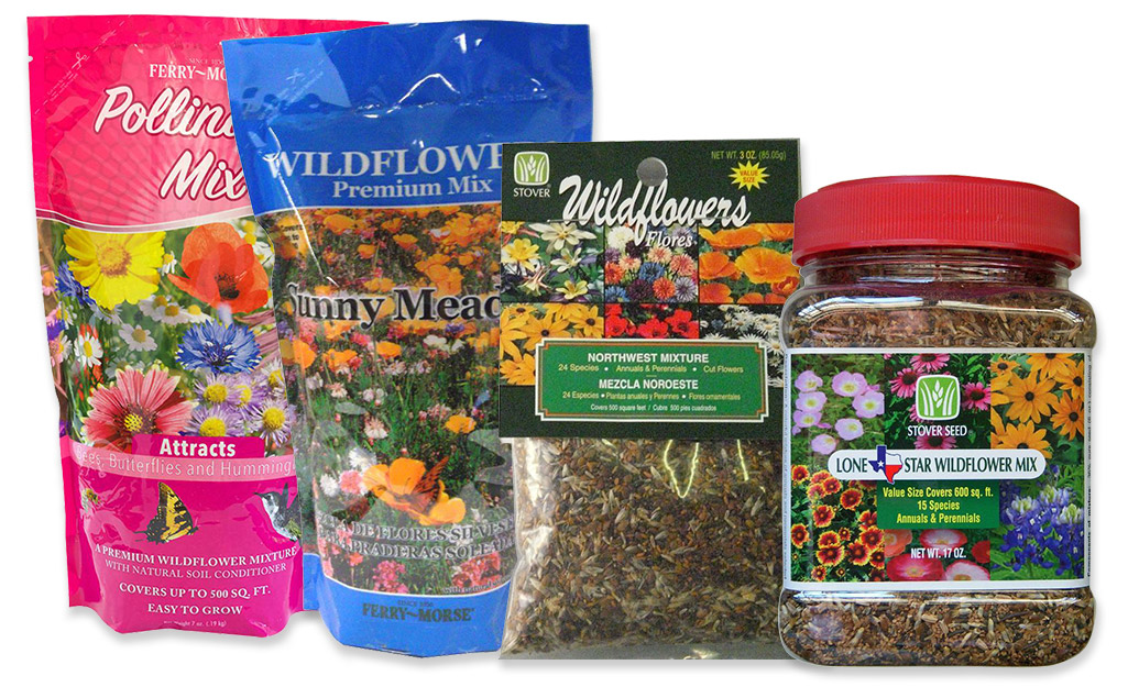 Guide for Planting a Wildflower Garden  Wedel's – Nursery, Florist, &  Garden Center