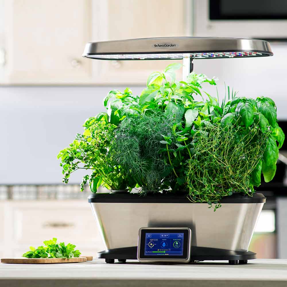 How To Grow An Indoor Hydroponic Garden The Home Depot