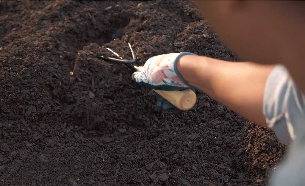 A gardener uses a hand rake to prep the site. A gardener uses a hand rake to prep the site.