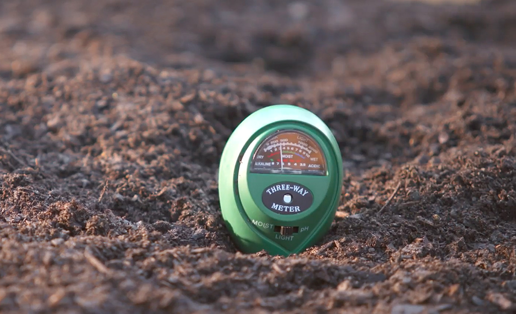 Soil is tested with a pH kit. Soil is tested with a pH kit.