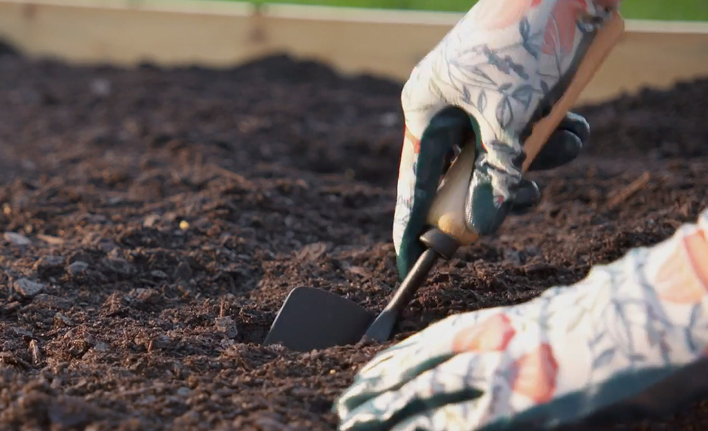 A gardener digs the hole for the plant. A gardener digs the hole for the plant.