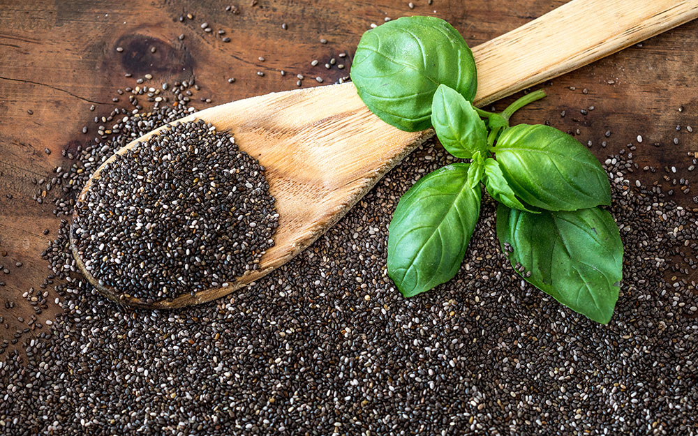 How to Grow Basil The Home Depot