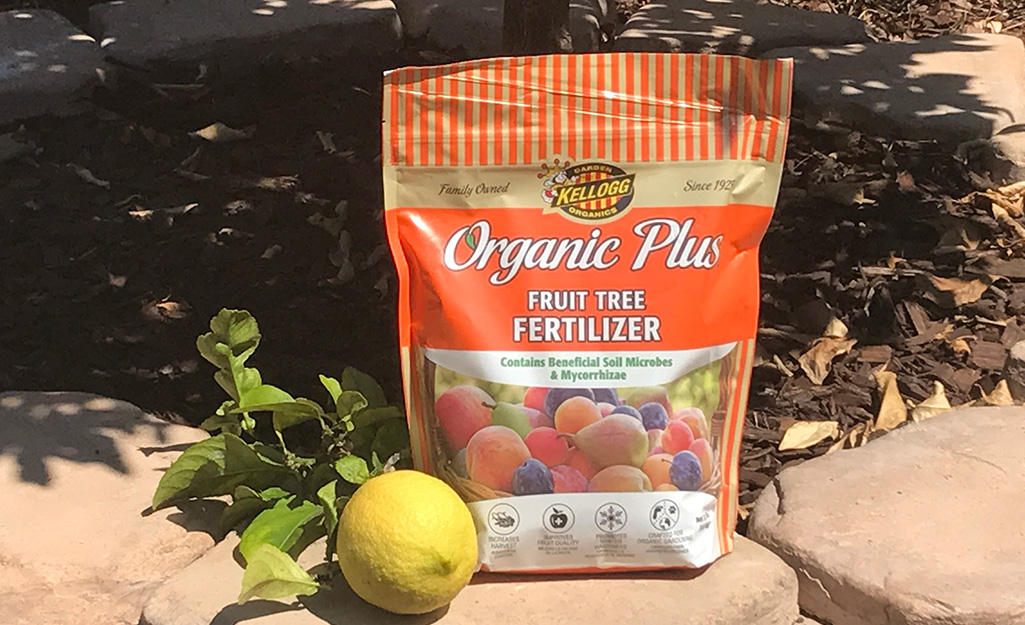 A bag of organic fruit tree fertilizer sitting outside under a tree with a lemon and some leaves beside it.
