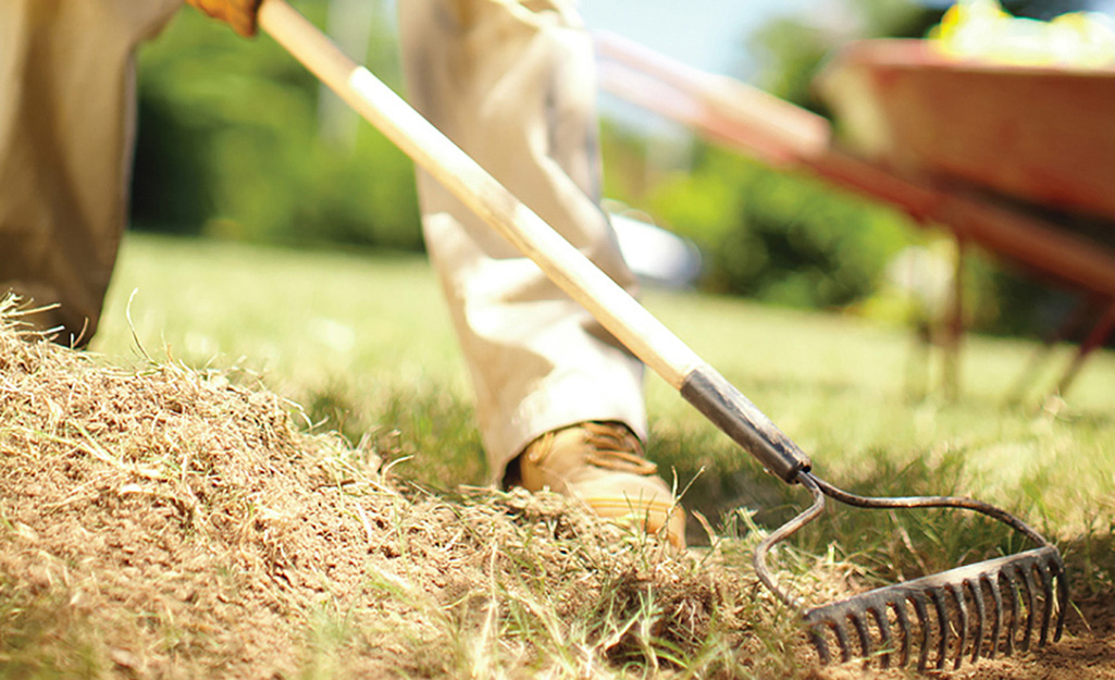 A person using a rake to prepare soil for seeding grass.