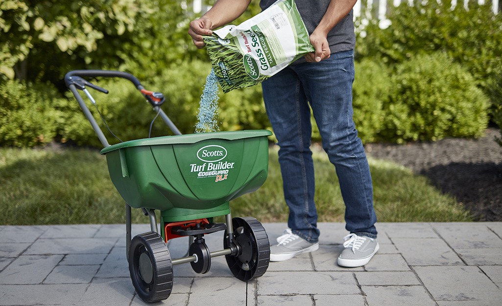 A person pouring grass seed into a lawn spreader.