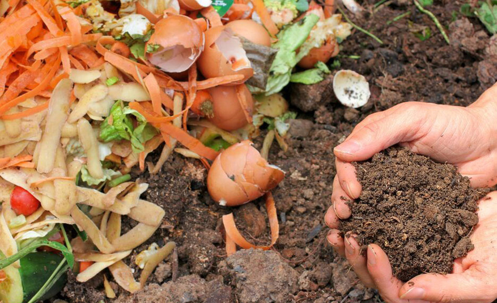 Compost in the garden.