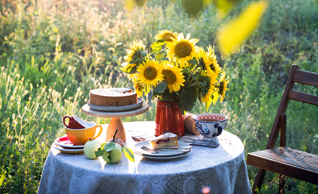 https://contentgrid.homedepot-static.com/hdus/en_US/DTCCOMNEW/Articles/how-to-grow-sunflowers-2022-step-6.jpg