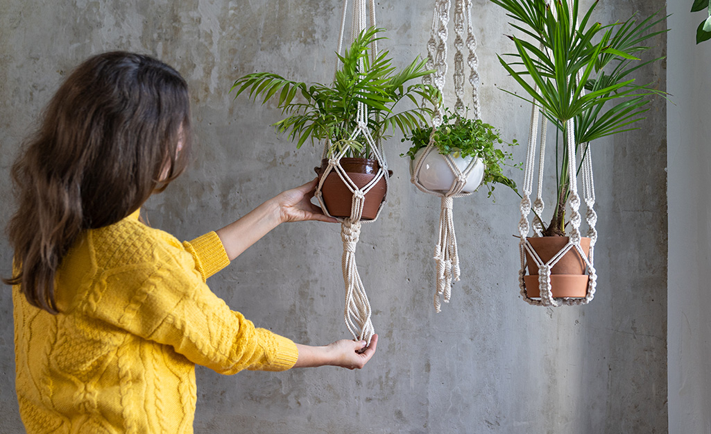 A woman admiring three hanging indoor plants.