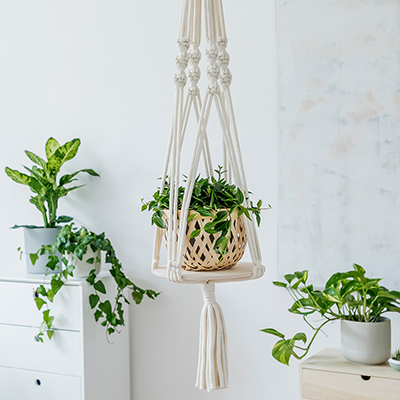 How To Hang A Plant From The Ceiling, Ceiling Plant Pot Holders