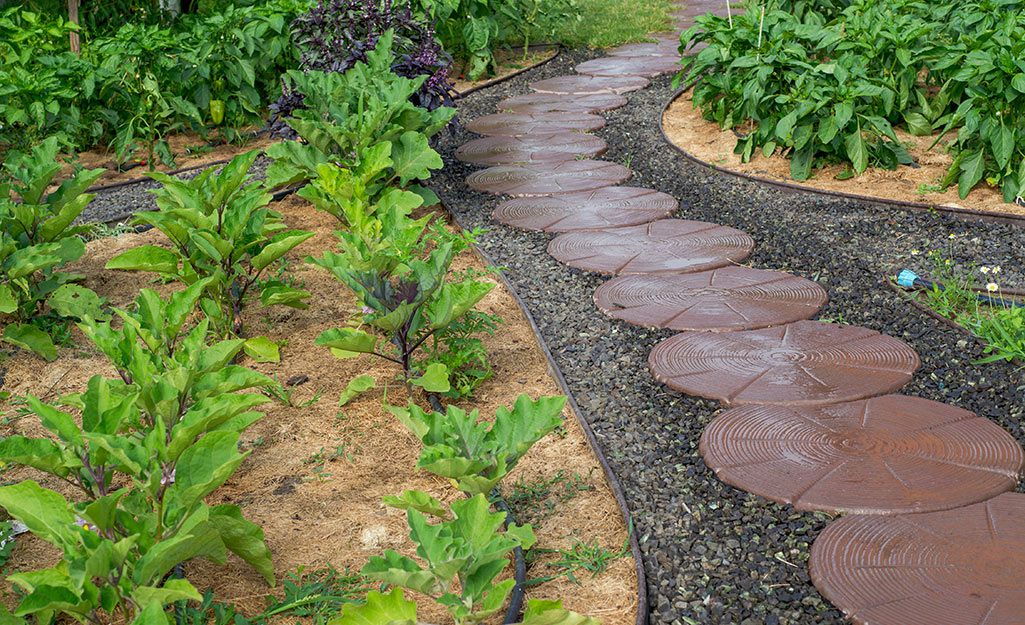 A paver path through a garden A paver path through a garden