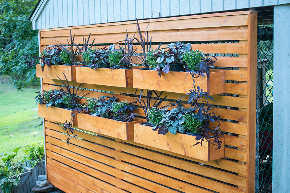 Plants and flowers in window boxes on wood frame