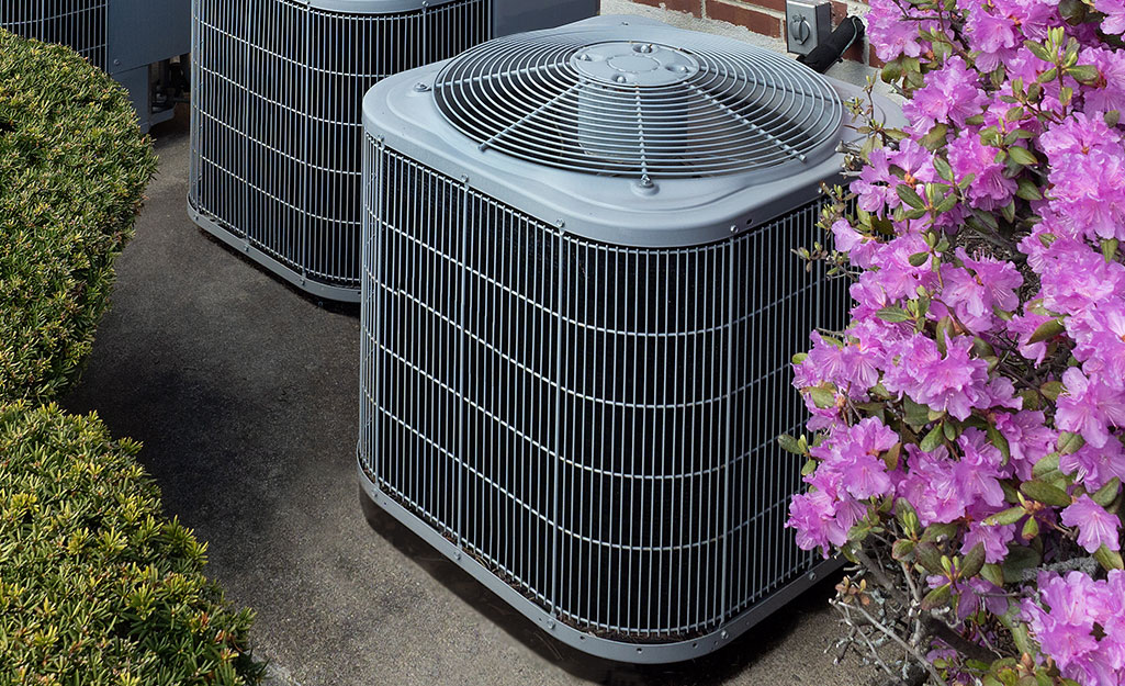 An a/c unit concealed by flowers and plants