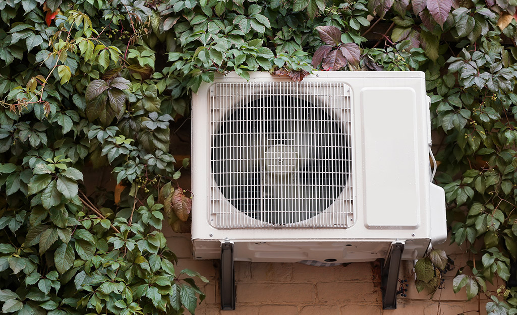 A window a/c unit among various plants