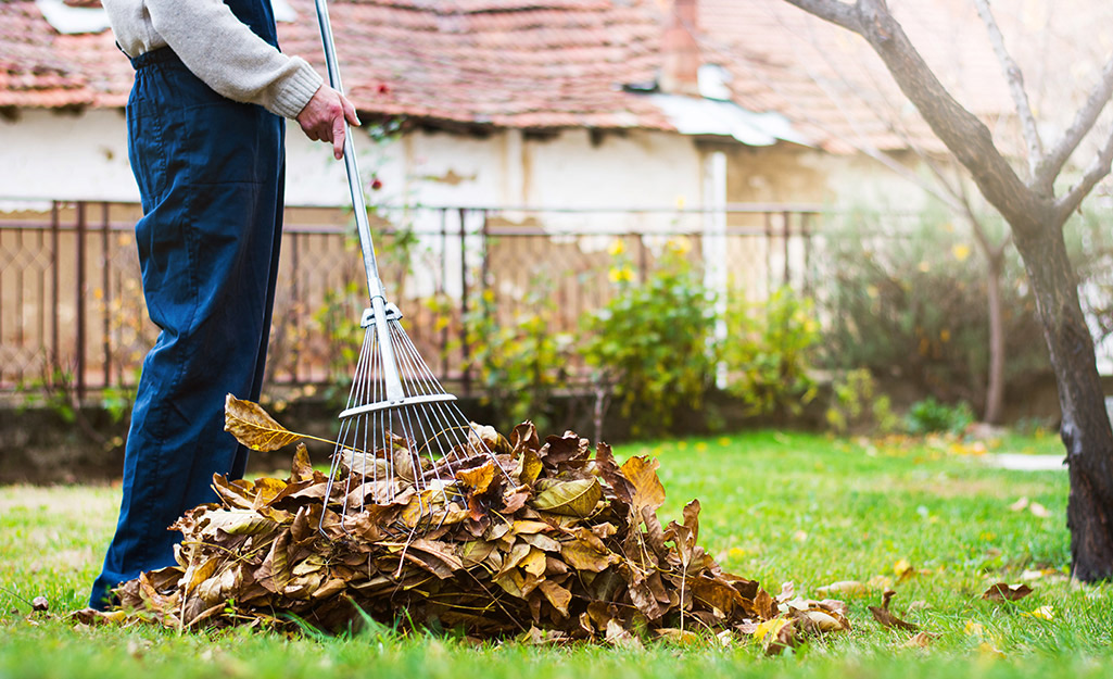 A man rakes leaves in a backyard.