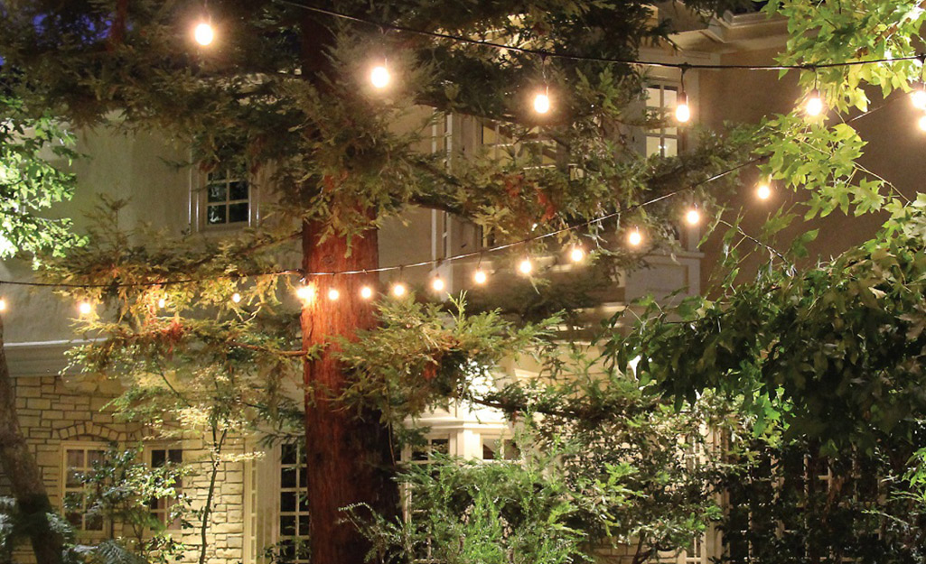 String lights decorate a leafy backyard.