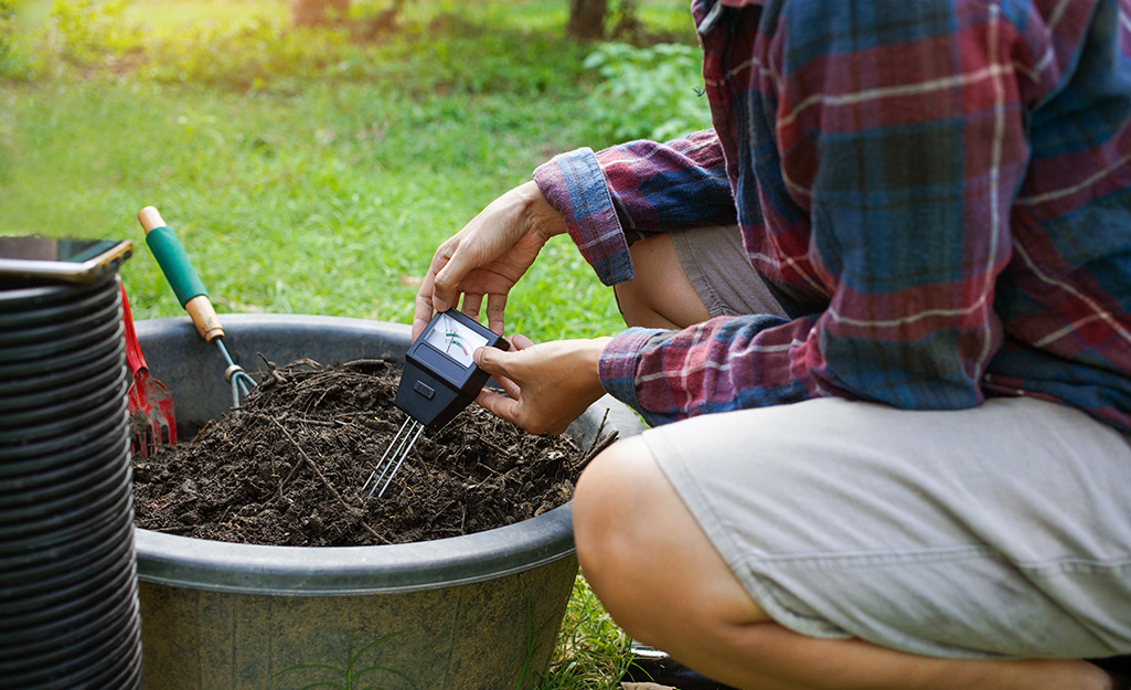 A person testing soil pH in a garden container.