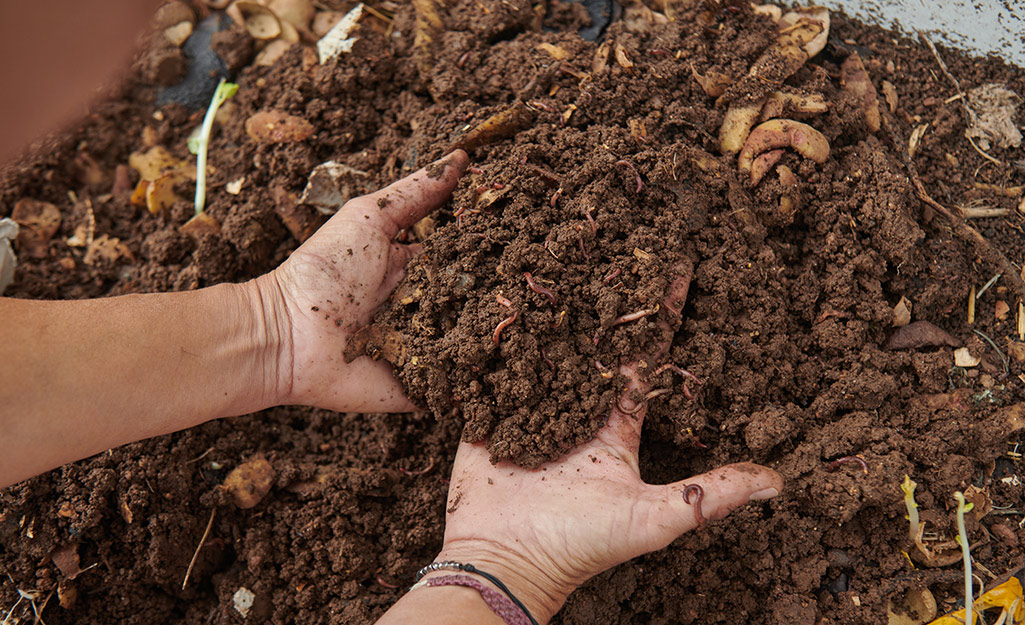 A person sifting soil through their hands.
