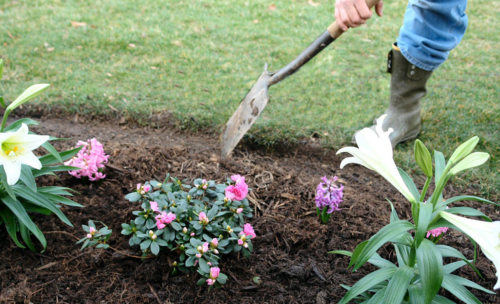 A person clearing an area for edging.