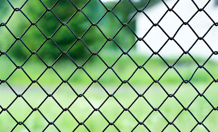 Someone looking through a chain link fence into a neighbor's yard.