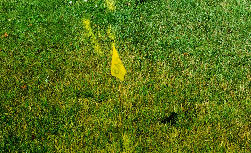 A flag in the grass marking a gas line.